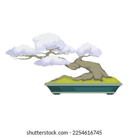 Bonsai tree logo. Bonsai tree vector illustration design