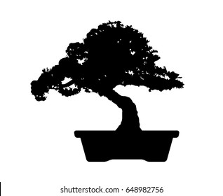 Bonsai tree mini potted plant flat vector icon for apps and websites