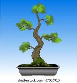bonsai tree nature vector background