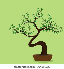 Bonsai tree on the green bacground, vector image