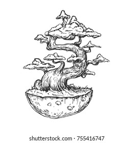 Bonsai tree on piece of ground in hand drawn vintage style. Sketch vector illustration isolated on white background.