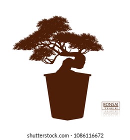 bonsai tree on the table. Vintage. realistic style. Vector illustration.