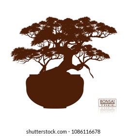 bonsai tree on the table. Vintage. realistic style. Vector illustration.