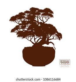 bonsai tree on the table. Vintage. realistic style. Vector illustration.