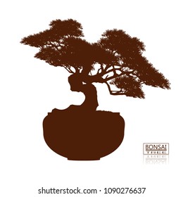 bonsai tree on the table. Vintage. realistic style. Vector illustration.