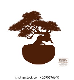 bonsai tree on the table. Vintage. realistic style. Vector illustration.