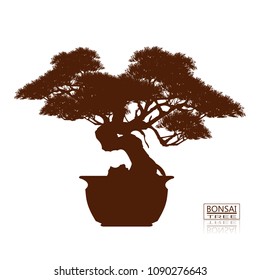 bonsai tree on the table. Vintage. realistic style. Vector illustration.