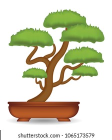 bonsai tree on a white background vector