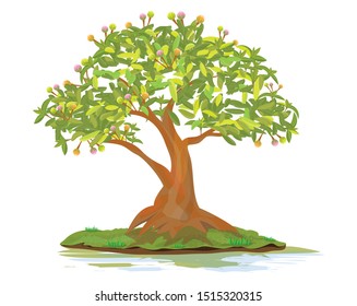 bonsai tree on white background vector design
