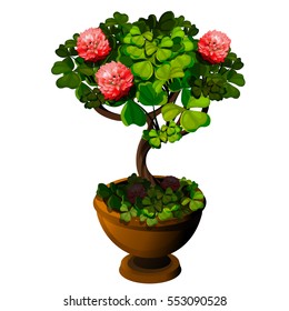 Bonsai tree with pink flowers clover isolated on white background. Fantastic ideas of landscape design. The trefoil and quatrefoil is a symbol of St. Patrick's day. Vector illustration close-up.
