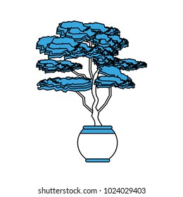 Bonsai tree plant