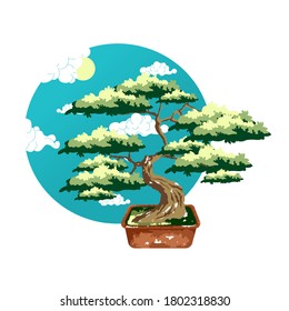 Bonsai Baum in Topf. Farbvektorflache Cartografik einzeln