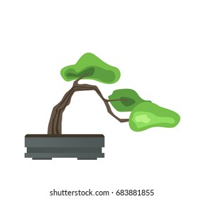 Bonsai tree in a pot. Japanese art of growing miniature trees. Vector illustration, isolated on white background.