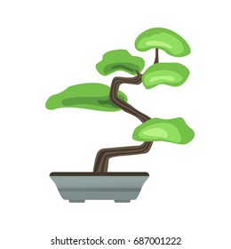 Bonsai tree in a pot. Japanese art of growing miniature trees. Vector illustration, isolated on white background.