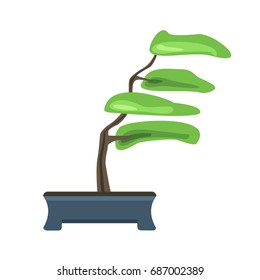 Bonsai tree in a pot. Japanese art of growing miniature trees. Vector illustration, isolated on white background.