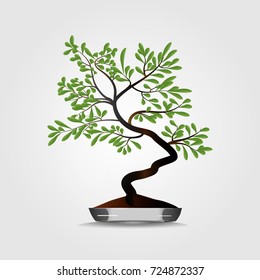 Bonsai tree in pot on grey background.Vector illustration.