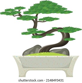 Bonsai tree in pot on white background illustration