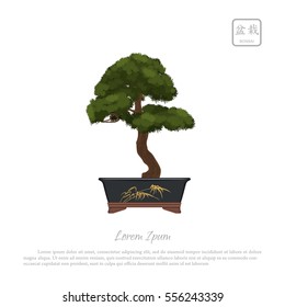 Bonsai tree in pot on white background. Text in japanese: "Bonsai". Vector illustration