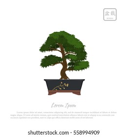 Bonsai tree in pot on white background. Text in japanese: "Bonsai".