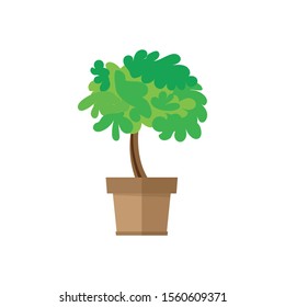 Bonsai Tree In A Pot. Vector Illustration, Isolated On White Background.