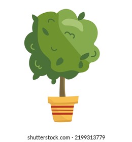 Bonsai tree in a pot. Vector illustration, isolated on white background.