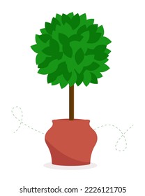 Árbol de Bonsai en una olla. Ilustración vectorial, aislada en fondo blanco