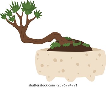 Bonsai Tree In Pot Vector Illustration