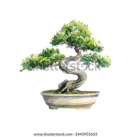 bonsai tree in pot vector illustration in watercolor style