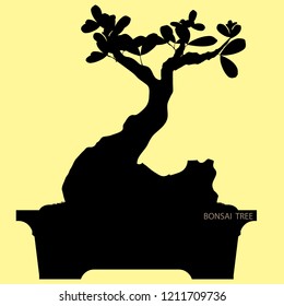 Bonsai tree, silhouette of bonsai, Detailed image, Vector illustration,  vintage style. 