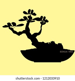 Bonsai tree, silhouette of bonsai. Detailed image, Vector illustration. Dwarf trees for design and website. Mini tree in pot.