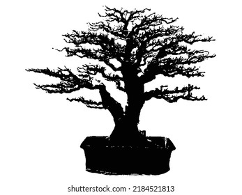 Ilustración de vectores de silueta de árbol bonsai