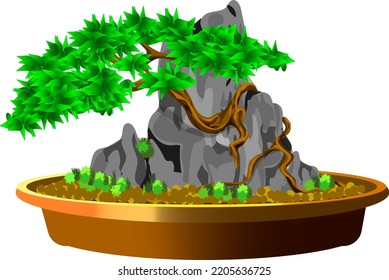 bonsai tree tray garden and rock