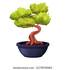 Bonsai tree with twisted trunk, foliage in ceramic pot in cartoon style, asian mini plant isolated on white background