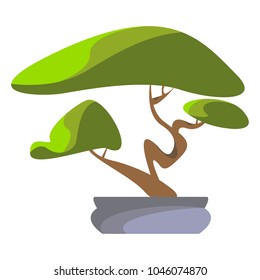 Bonsai tree in a vase. Flat vector illustration in cartoon style isolated on white background.