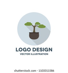 bonsai tree vector icon