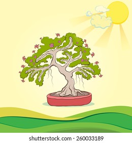 bonsai tree vector illustration