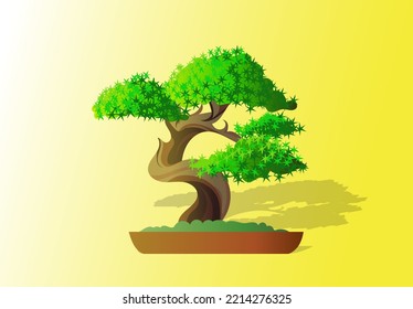 bonsai tree vector illustration, china plant and tree for garden decoration, simple plant concept