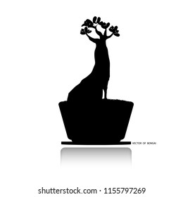 Bonsai tree, vector illustration isolated on background. Japanese hawthorn bonsai, Detailed image, Mini tree in pot. black silhouette of bonsai, Vector illustration,
