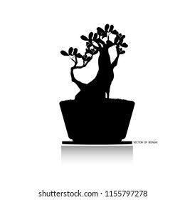Bonsai tree, vector illustration isolated on background. Japanese hawthorn bonsai, Detailed image, Mini tree in pot. black silhouette of bonsai, Vector illustration,