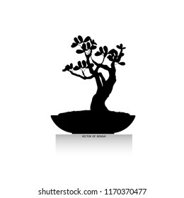 Bonsai tree, vector illustration isolated on background. Japanese hawthorn bonsai, Detailed image, Mini tree in pot. silhouette of bonsai, Vector illustration, 