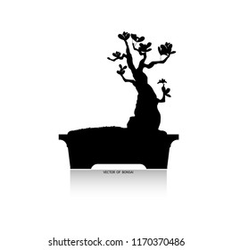 Bonsai tree, vector illustration isolated on background. Japanese hawthorn bonsai, Detailed image, Mini tree in pot. silhouette of bonsai, Vector illustration, 