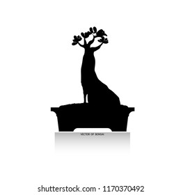 Bonsai tree, vector illustration isolated on background. Japanese hawthorn bonsai, Detailed image, Mini tree in pot. silhouette of bonsai, Vector illustration, 