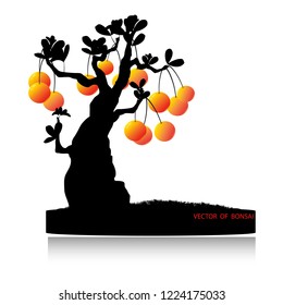 Bonsai tree, vector illustration isolated on background. Japanese hawthorn bonsai, Detailed image, Mini tree in pot. 