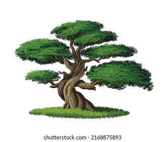 Bonsai Tree Vector Illustration isolated on white background