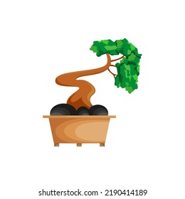 

bonsai tree vector illustration in a pot