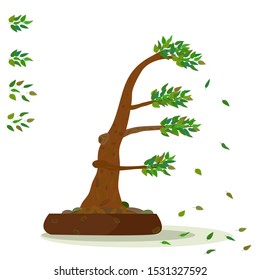 bonsai tree vector illustration,bonsai isolated  illustration.