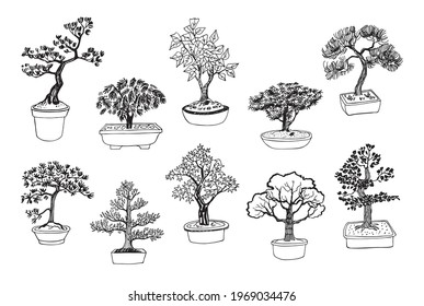 Bonsai tree vector illustrations, line art set