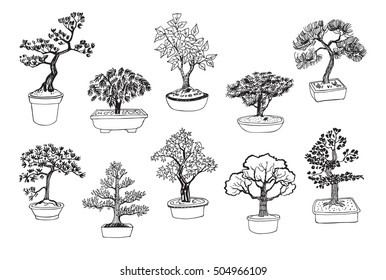 bonsai tree vector line set