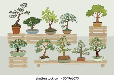 bonsai tree vector set