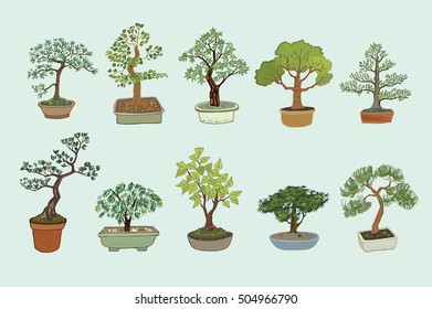 bonsai tree vector set